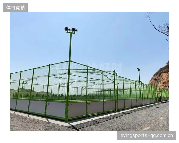 萨普里萨准备在国内建立专业足球学院，开启足球梦新篇章